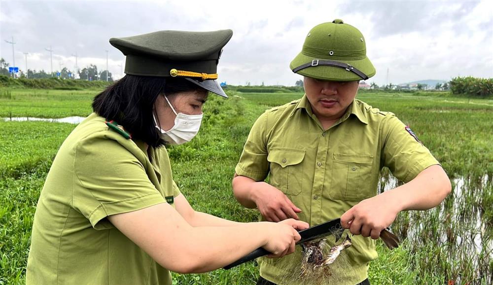 Thanh Hóa: Đồng loạt ra quân bảo vệ chim trời, nguồn lợi quý của thiên nhiên